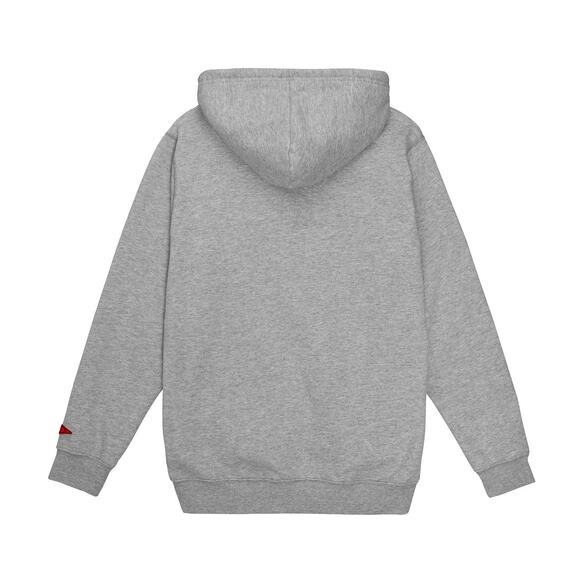 FLORENCE MARINE X MISTER GLOBE Hoodie Sweatshirt Men's Gray Save the Earth NWT - Picture 2 of 7